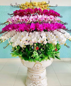Chậu hoa lan đa sắc 100 cành đặt đại sảnh