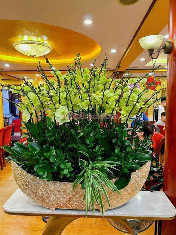 Lan hồ điệp ghép thuyền khảm trai đặt đại sảnh