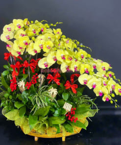 Lan hồ điệp vàng 15 cành ghép thuyền hoa