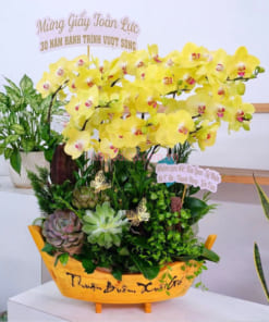 Nơi bán thuyền hoa lan vàng 15 cành tại Hà Nội