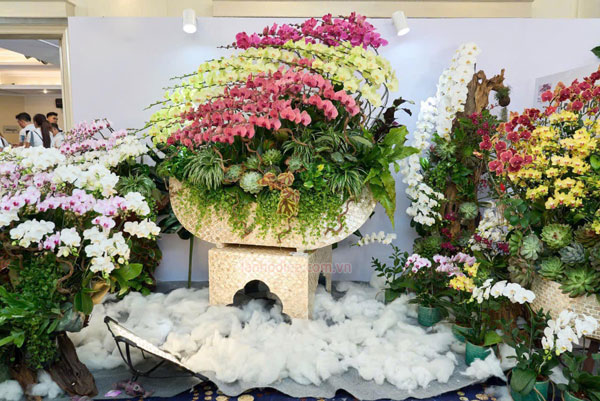 Thuyền hoa hồ điệp đa sắc trang trí sự kiện