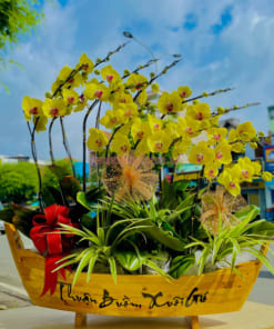 Thuyền hoa lan hồ điệp 15 cành màu vàng tặng tết