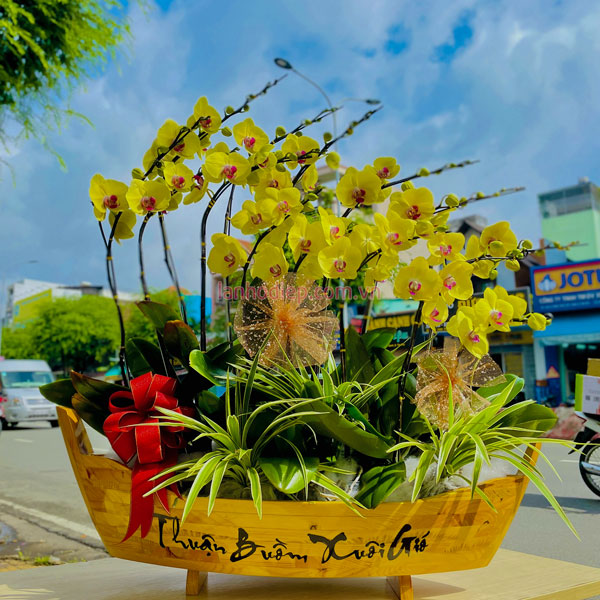 Thuyền hoa lan hồ điệp 15 cành màu vàng tặng tết