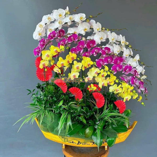Thuyền hoa lan trang trí Tết