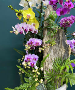 Sản phẩm là sự kết hợp giữa lan hồ điệp lớn, lan hồ điệp mini và gỗ lũa cùng các phụ kiện trang trí khác