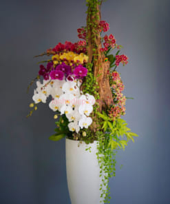 Chậu lan hồ điệp mix size ghép gỗ lũa đẹp (mẫu 4)