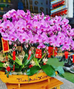 Thuyền gỗ lan hồ điệp hồng 30 cành