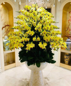 Chậu hoa hồ điệp 120 cành trang trí đại sảnh