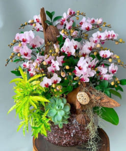 Hoa tiểu hồ điệp hồng ghép gỗ lũa 16 cành mừng khai trương