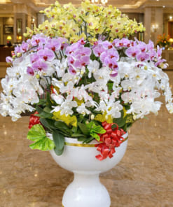 Chậu lan hồ điệp lộc phát 68 cành trưng sảnh khách sạn