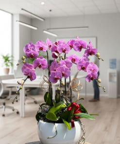 Nơi bán chậu hoa lan hồ điệp hồng 6 cành