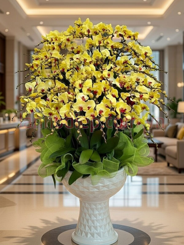 Chăm lan hồ điệp sau Tết