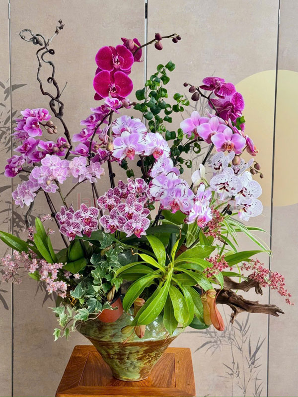 Khám phá các mẫu hoa lan nghệ thuật