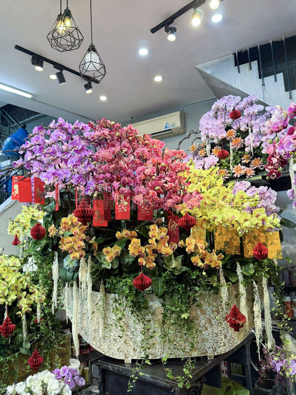 Thuyền hoa 100 cành lan hồ điệp đa sắc