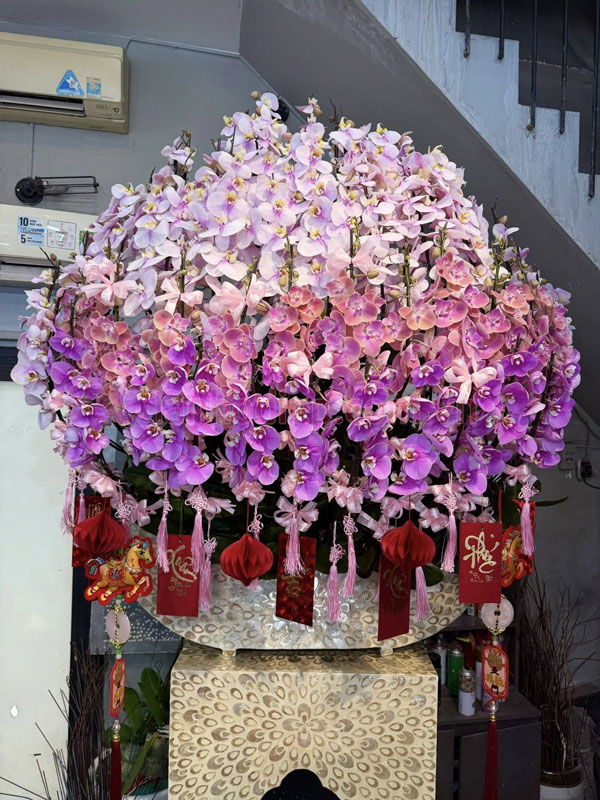 Thuyền hoa lan hồ điệp khai xuân 