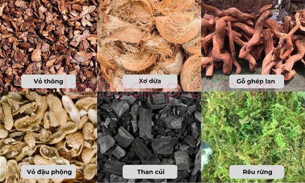 Các giá thể trồng lan hay dùng
