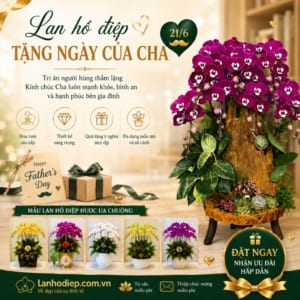 Banner Lan Hồ Điệp tặng Ngày của Cha 21-6 thiết kế ý nghĩa