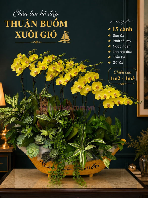 Chậu lan hồ điệp vàng 15 cành tặng tân gia ý nghĩa thuận buồm xuôi gió
