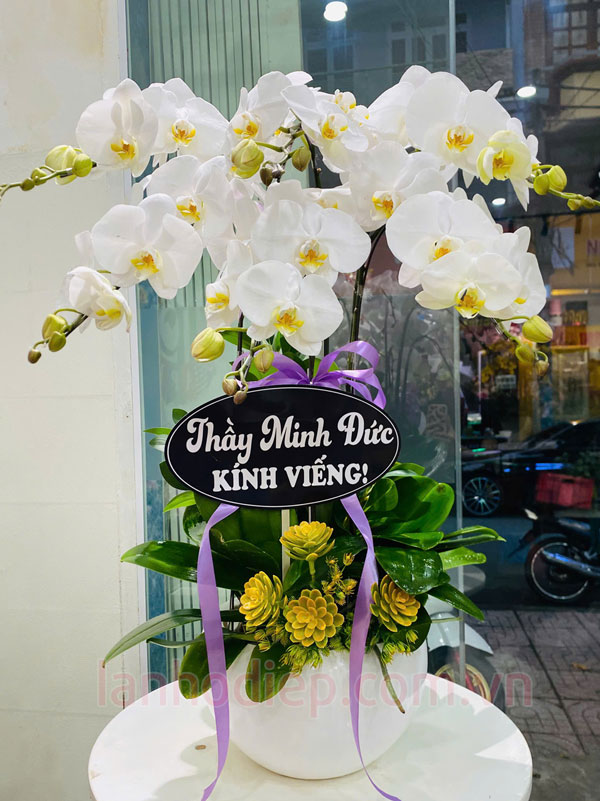 Cách lựa chọn hoa viếng lan hồ điệp đẹp