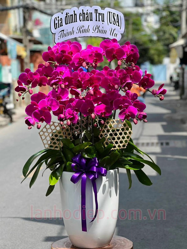 Địa chỉ đặt hoa lan hồ điệp viếng chia buồn uy tín tại Hà Nội