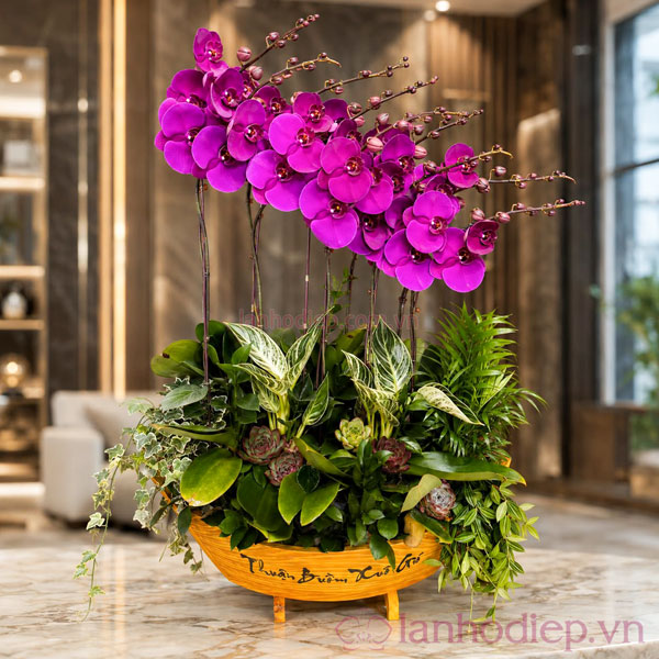 Thuyền lan hồ điệp 10 cành tím trang trí phòng khách